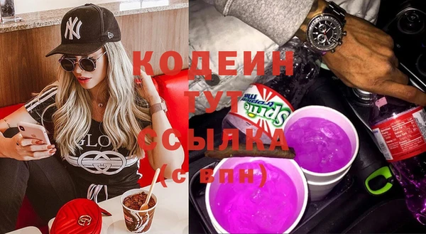 индика Осинники