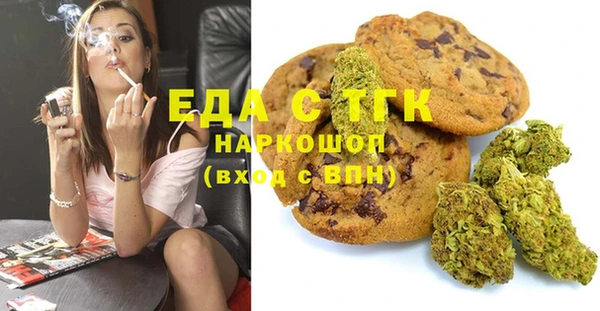 индика Осинники