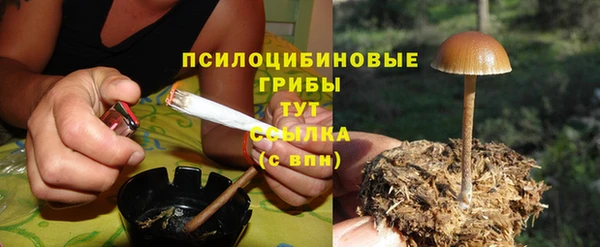 молекула духа Белокуриха